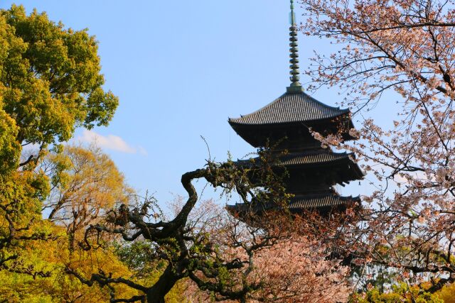 東寺