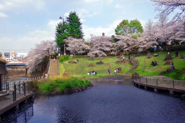 石神井川遊水池