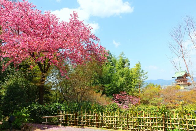 高台寺