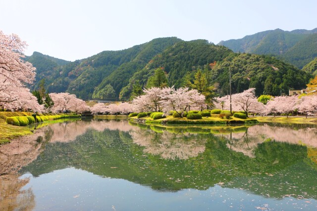 下北山村2021.3.29