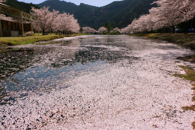 下北山村2021.3.29