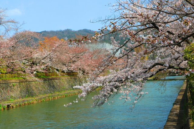 岡崎疎水