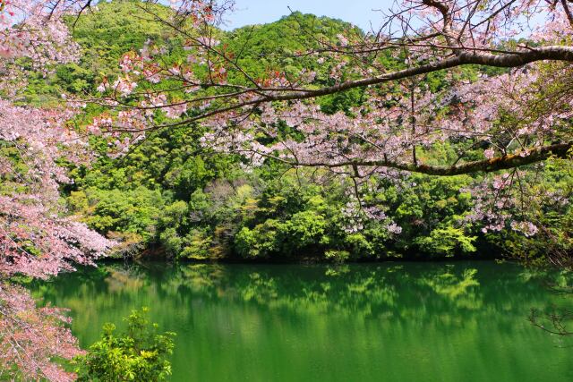 下北山村