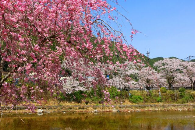 下北山村