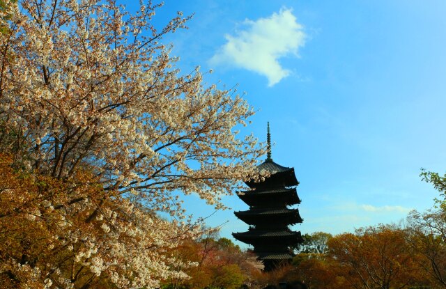 東寺