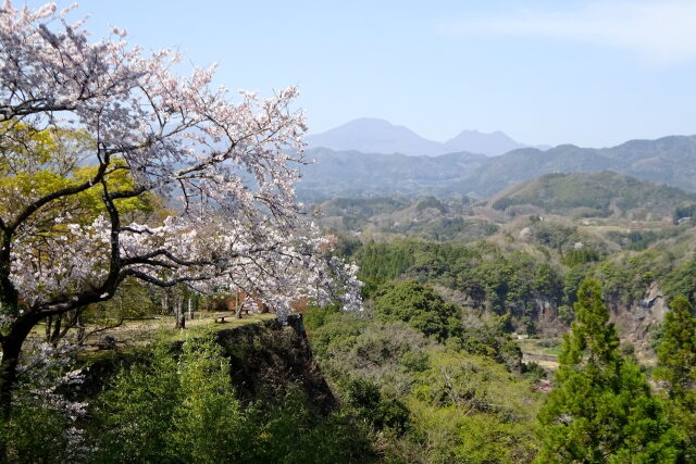 桜の岡城址から九重連山