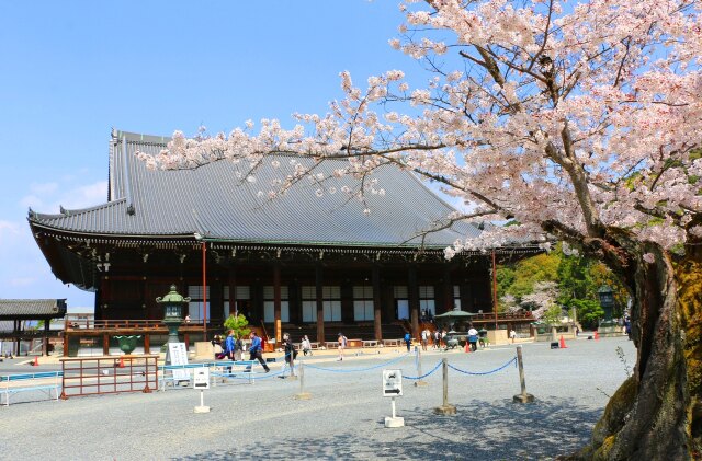 知恩院