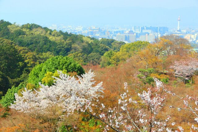 清水寺