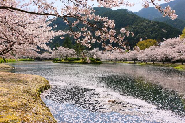 下北山村