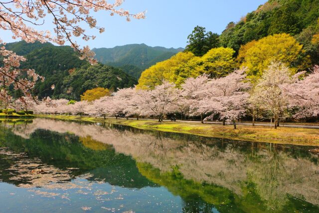 下北山村