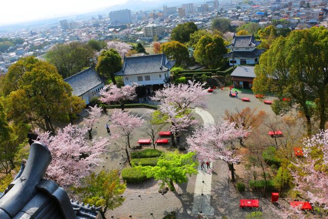 犬山城