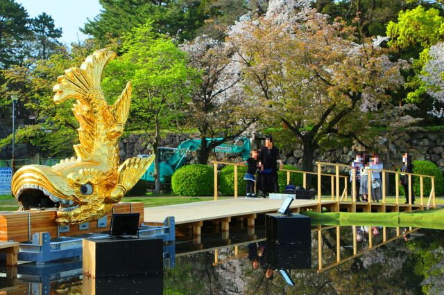 名古屋城金シャチ