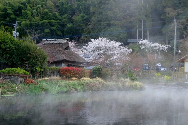 湯布院金鱗湖の朝