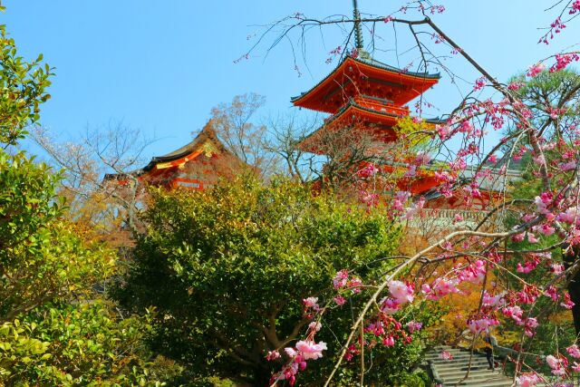 清水寺