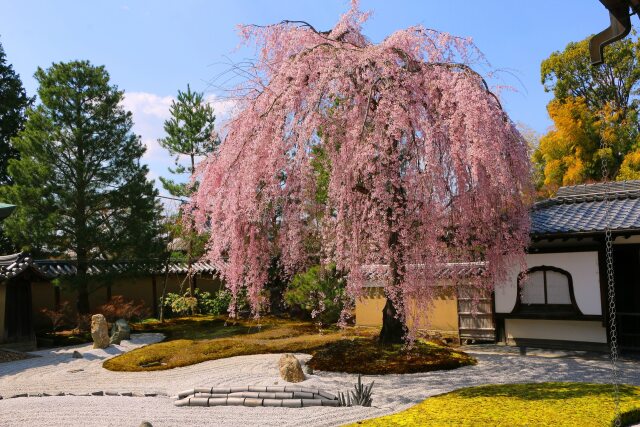 高台寺