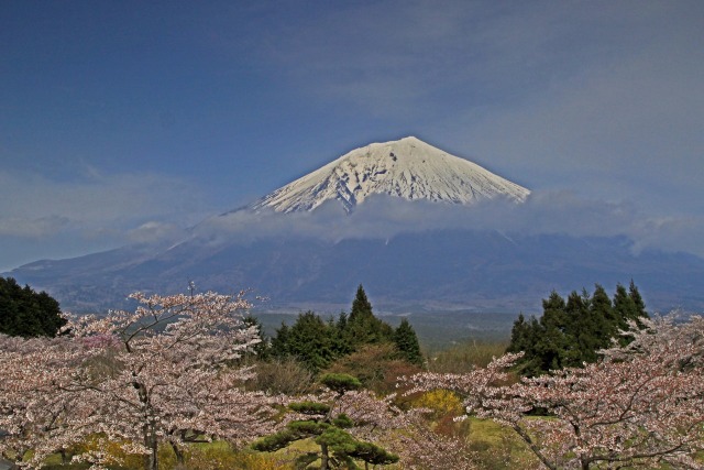 春の富士