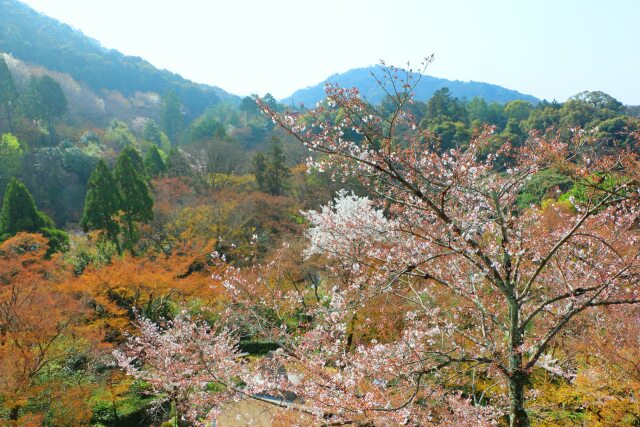 清水寺