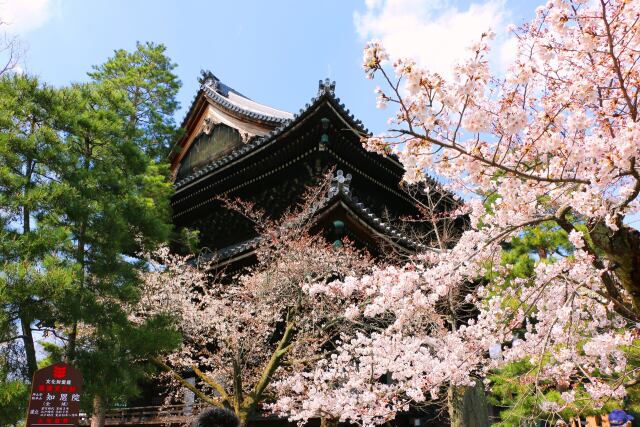 知恩院