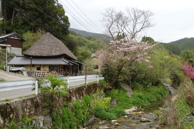 山間部の春景色