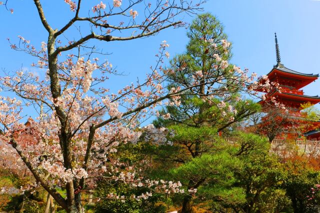 清水寺