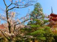 清水寺