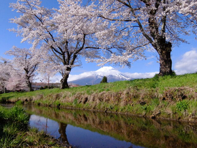 小川と富士山