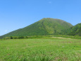 新緑の季節 三瓶山