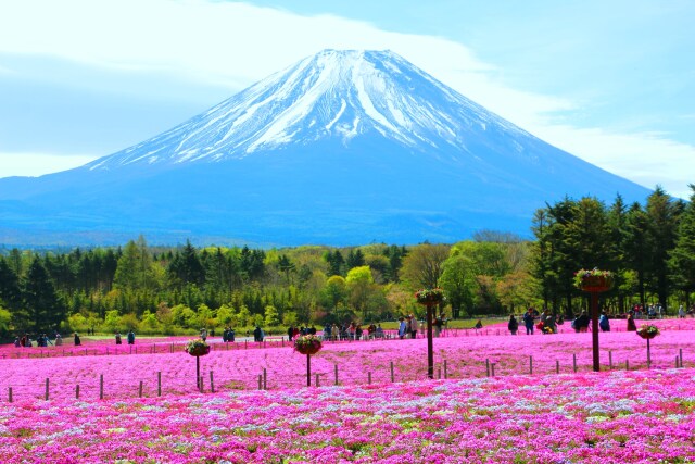 富士山