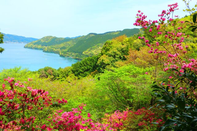 春の海