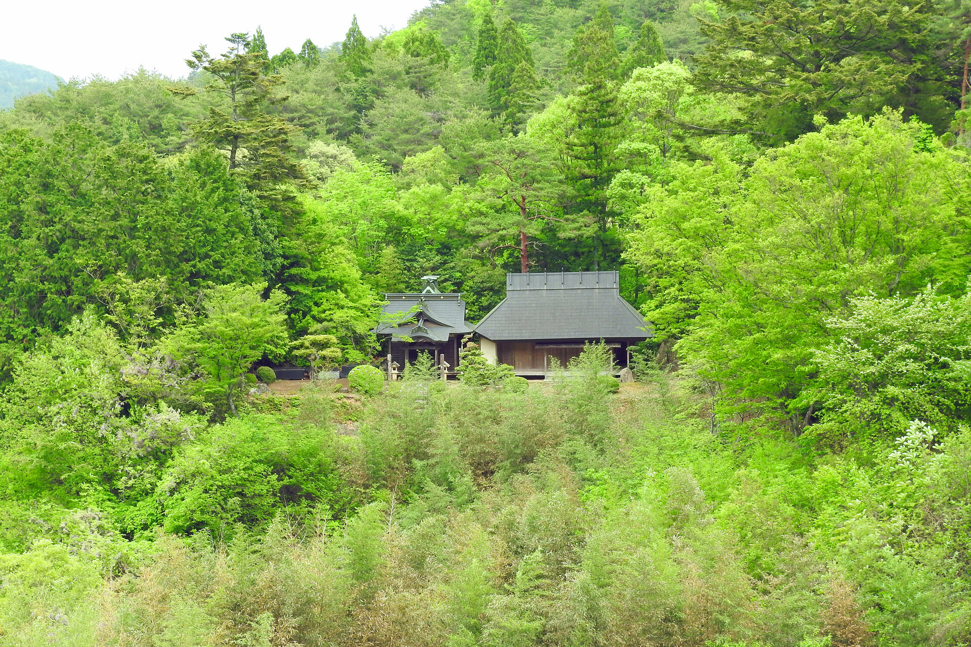 日本の風景 新緑の季節2 壁紙19x1280 壁紙館