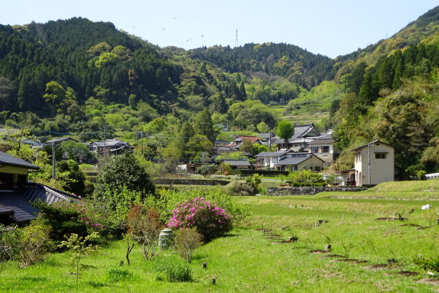 新緑の山里