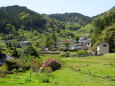 新緑の山里