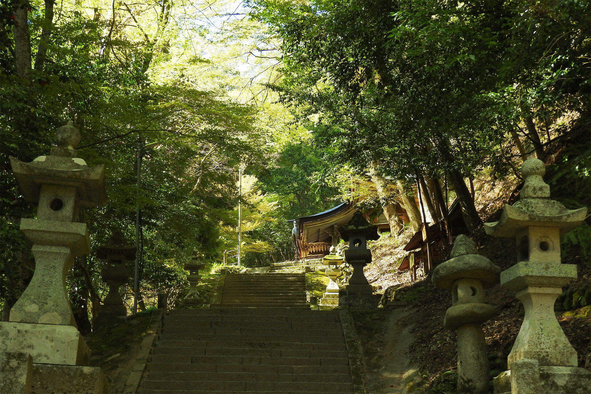 日本の風景 新緑の季節3 諏訪神社 壁紙19x1280 壁紙館