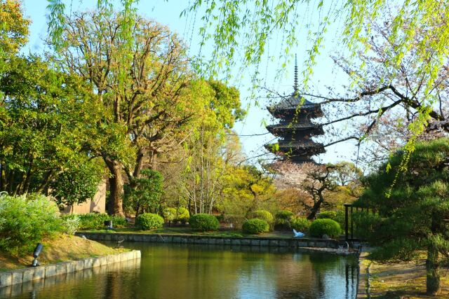 東寺