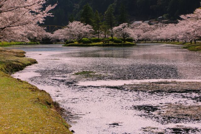 花いかだ