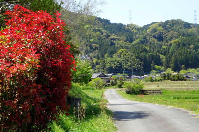 山里に春の訪れ