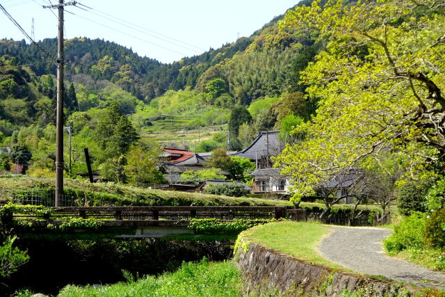 山里に春の訪れ