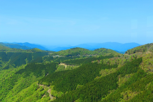 新緑の紀伊山地