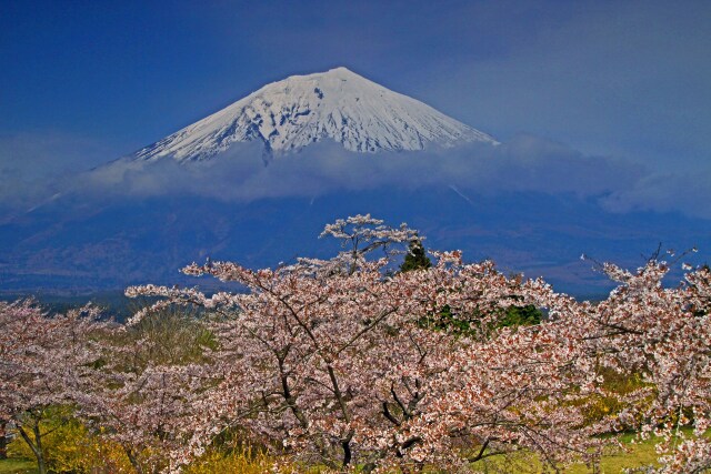 春の富士の嶺