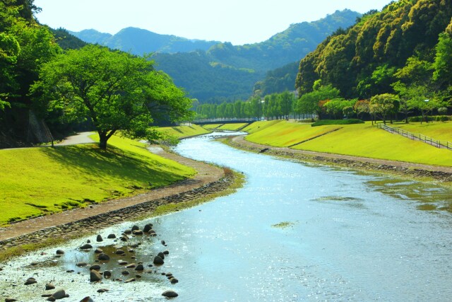 新緑の公園