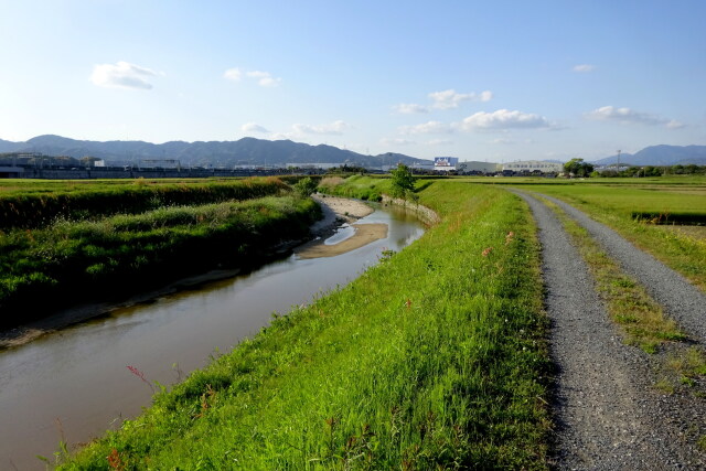 ある春の日に