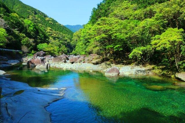 新緑の魚飛渓谷