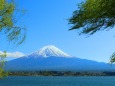 新緑の富士山