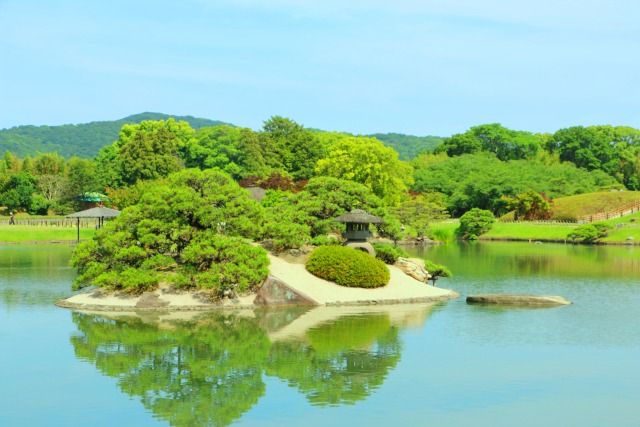 新緑の後楽園