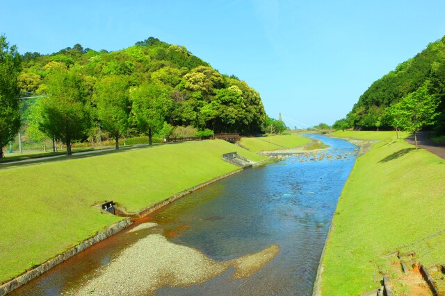 新緑の公園