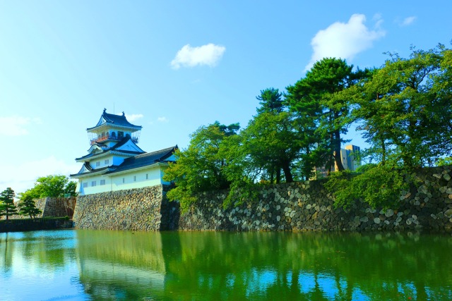 新緑の富山城