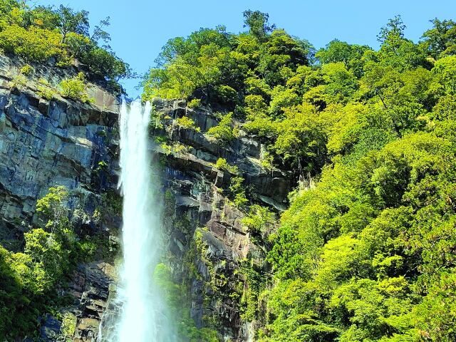 新緑の那智の滝