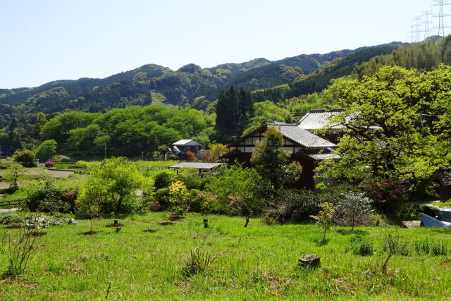 山里の春景色