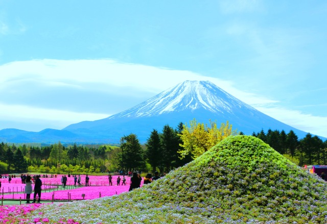 2つの富士山No,2