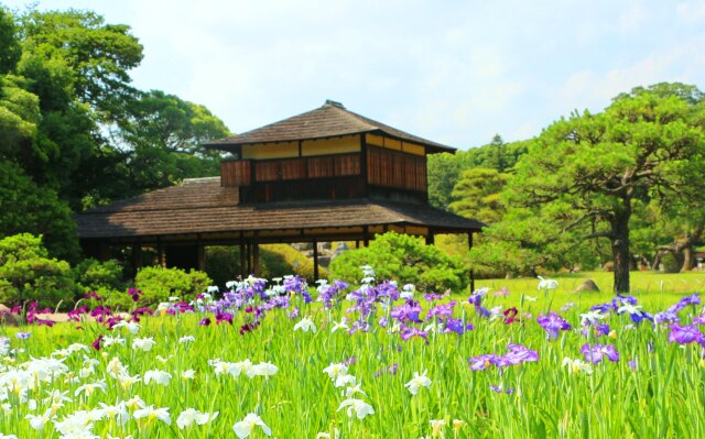 新緑の後楽園